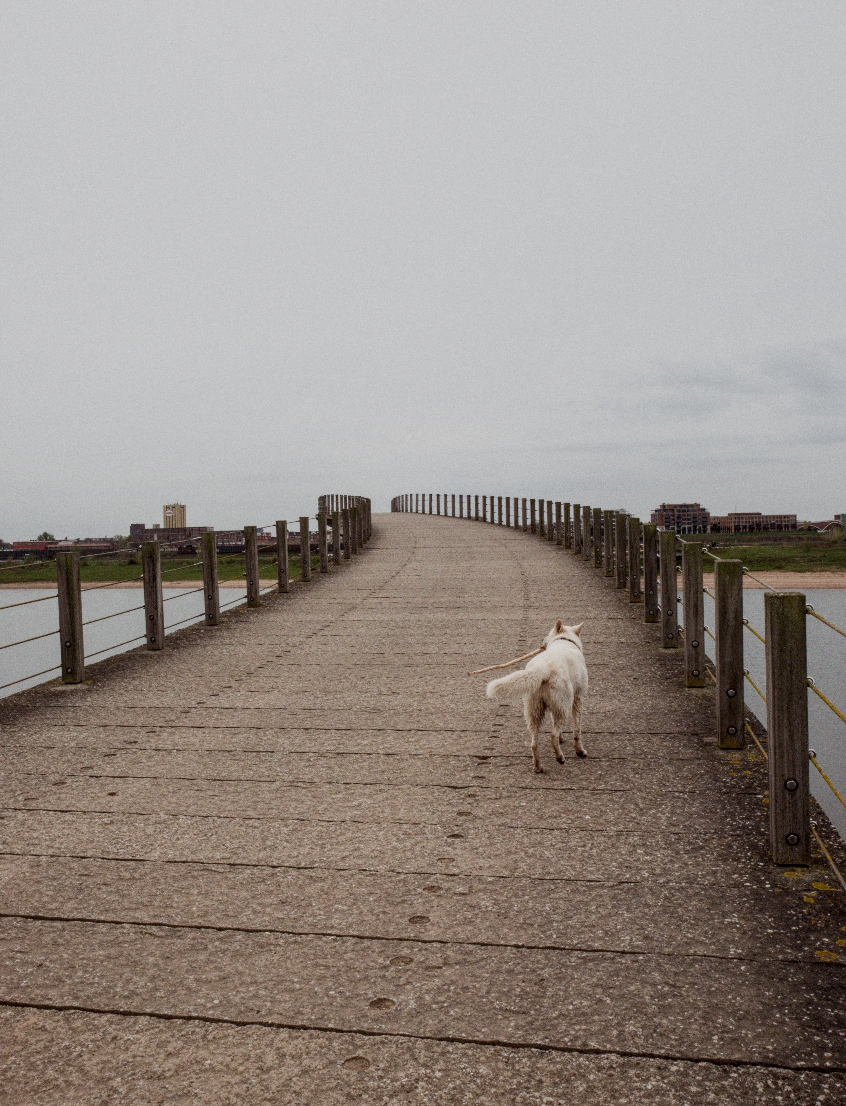 Bridge