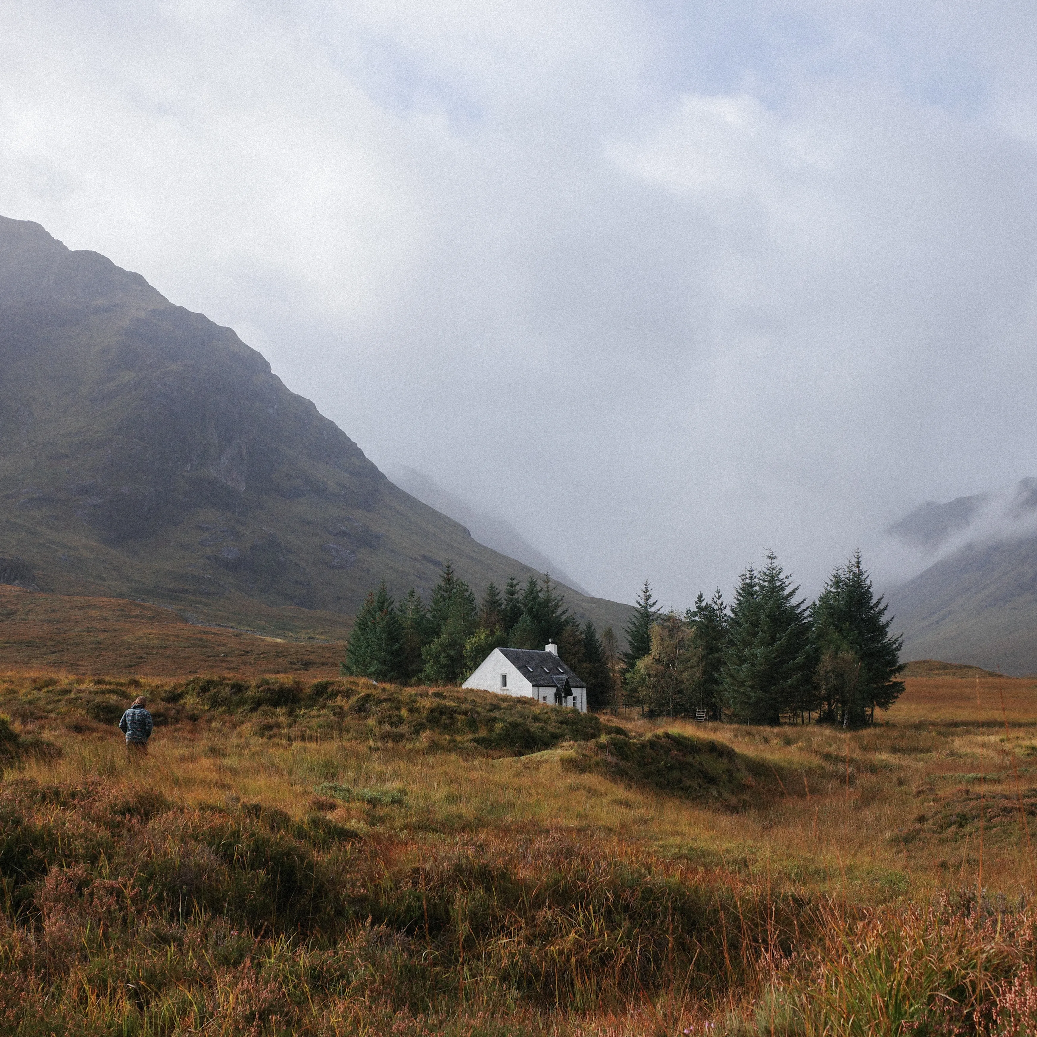 Wee white house